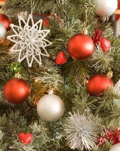 Oranament on a Christmas Tree